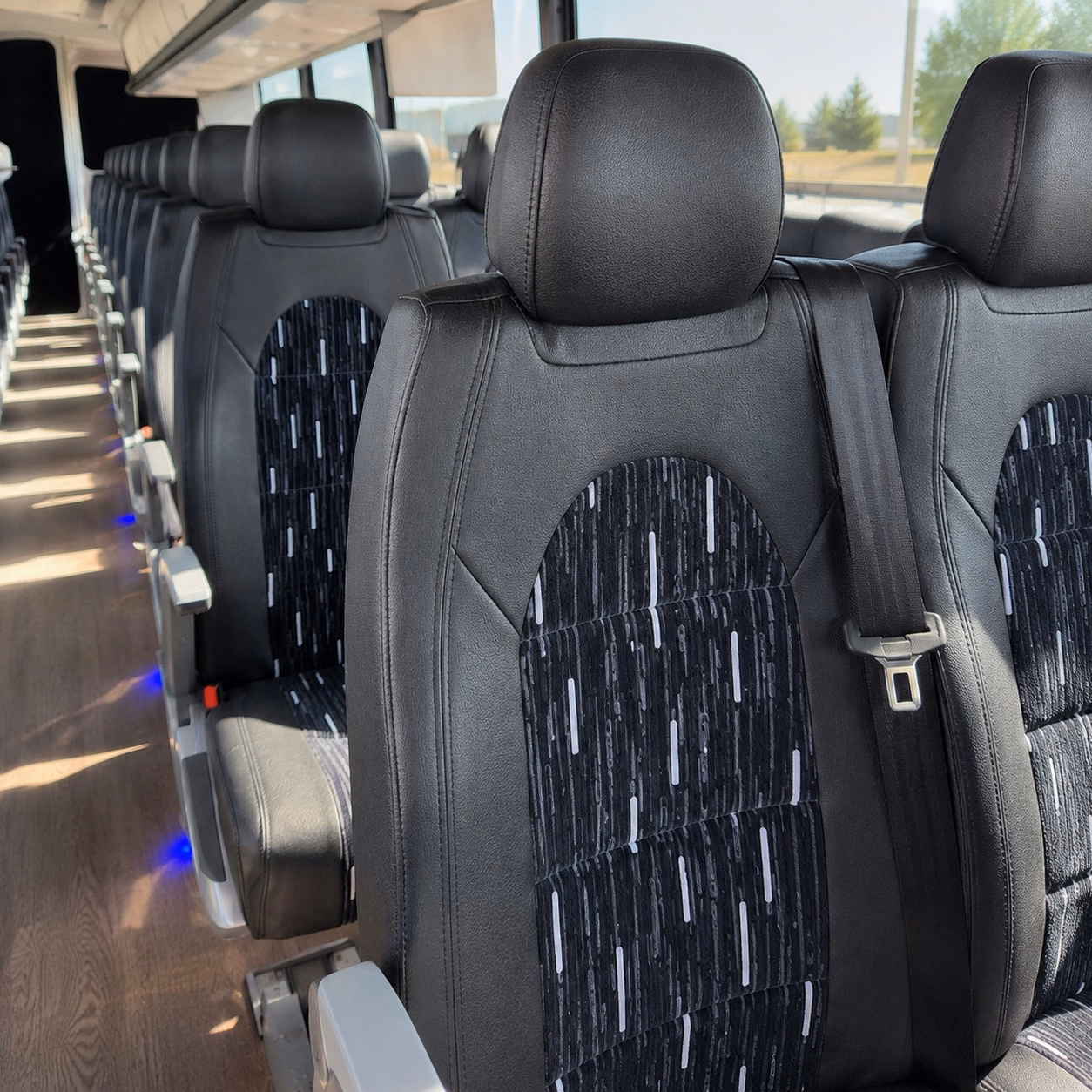 how the day of the week changes what a bus costs in las cruces new mexico